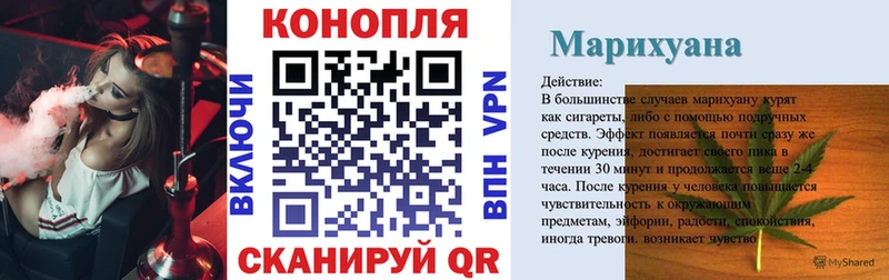 Бошки марихуана гибрид  блэк спрут как войти  Курильск 